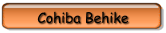 Cohiba Behike
