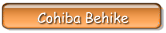 Cohiba Behike